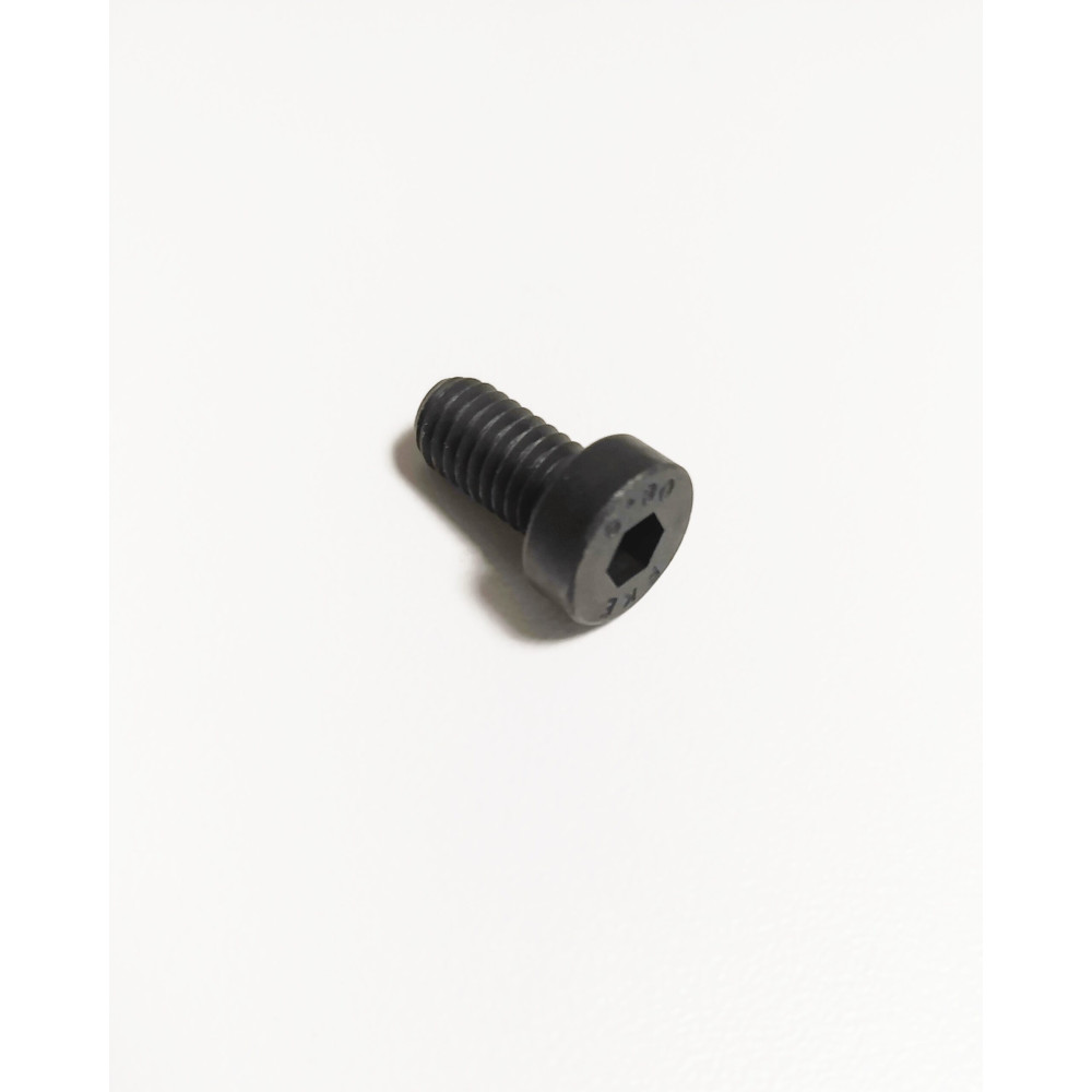WEIHRAUCH 2683a SCREW FOR MAINTAINING RING (HW100)