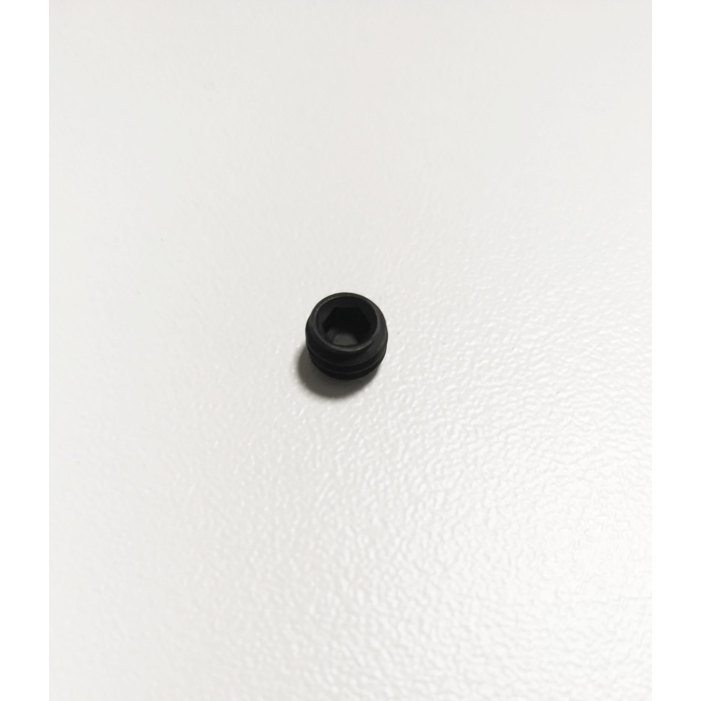 WEIHRAUCH 2676 SERVICE SCREW (HW100)